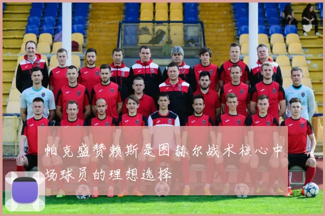 帕克盛赞赖斯是图赫尔战术核心中场球员的理想选择