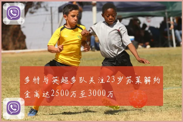 多特与英超多队关注23岁苏莱解约金高达2500万至3000万