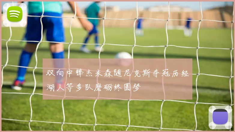 双向中锋杰米森随尼克斯夺冠历经湖人等多队磨砺终圆梦