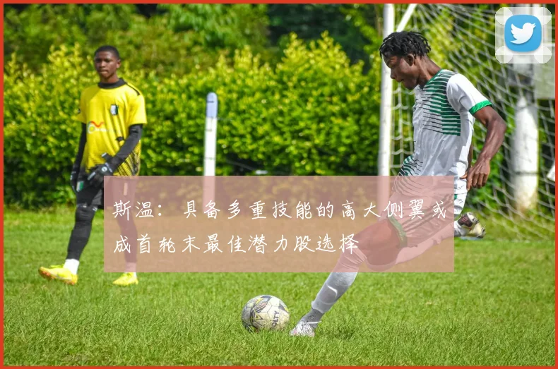 斯温：具备多重技能的高大侧翼或成首轮末最佳潜力股选择